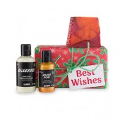 Best Wishes Best Wishes