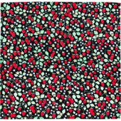 Strawberry Patch 
