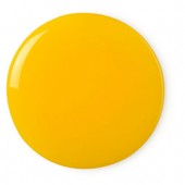 Mimosa