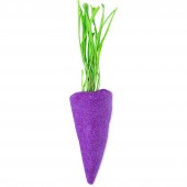 Baby  Carrot  Purple