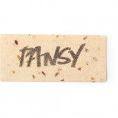 Pansy