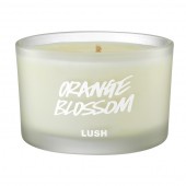 Orange Blossom