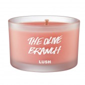 The Olive Branch